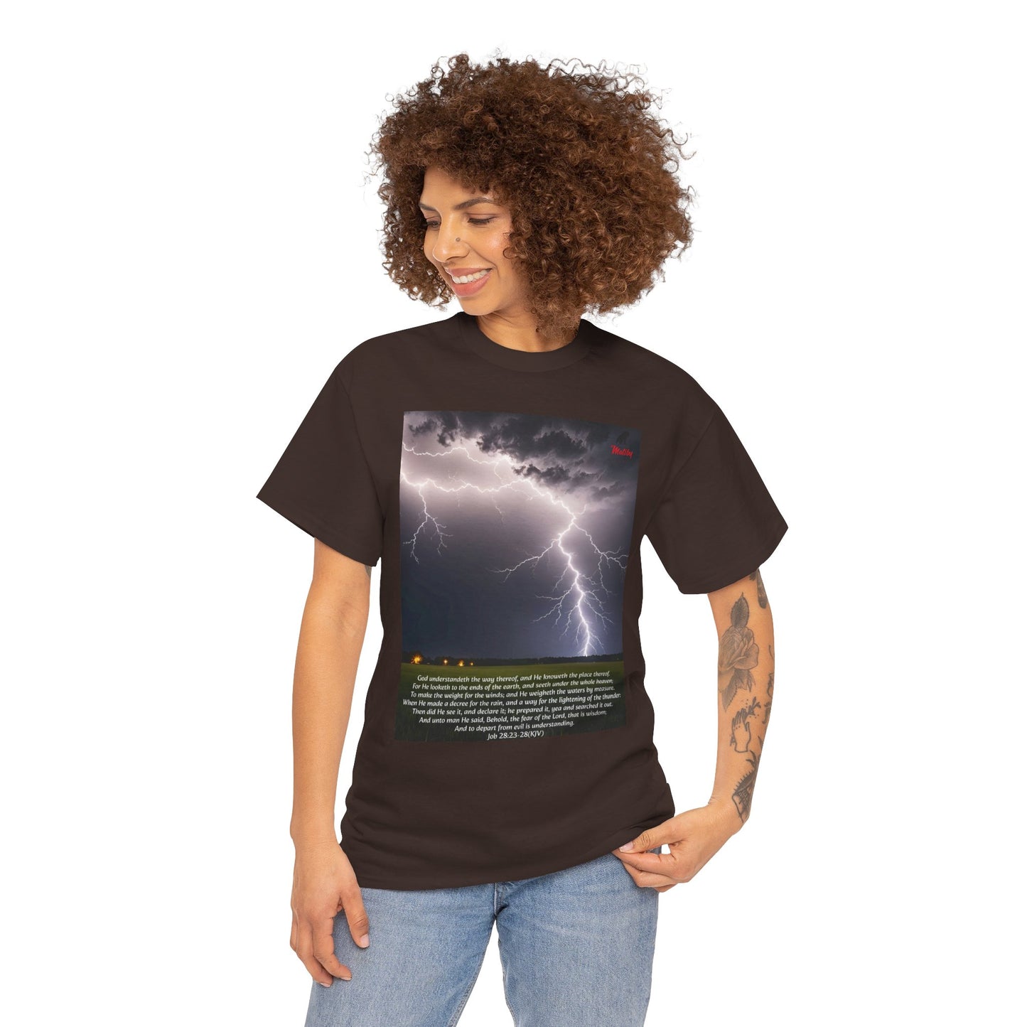 Lightning Style Fear of the Lord Unisex Heavy Cotton Tee