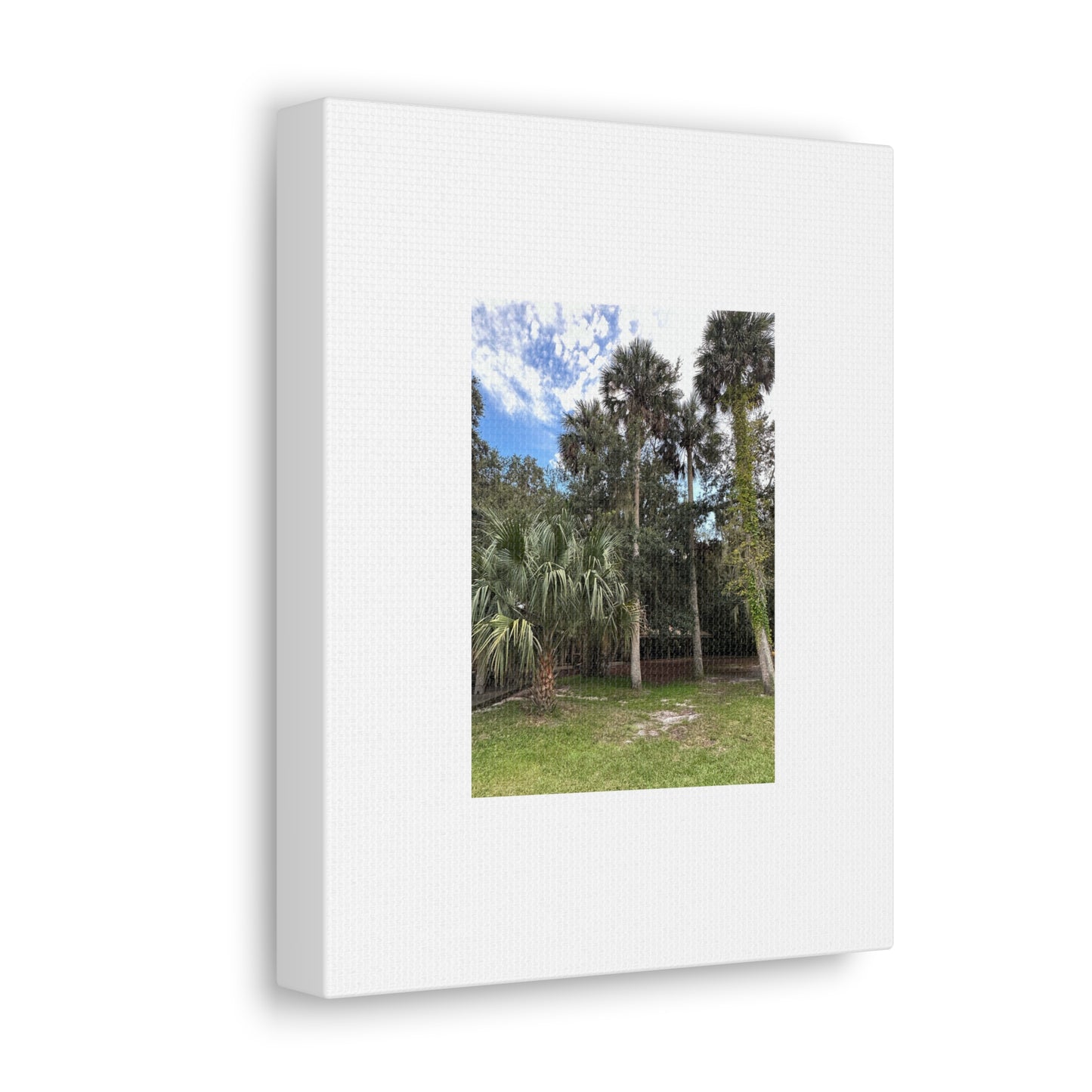 Matiby "Reals" Nature White Canvas Gallery Wraps