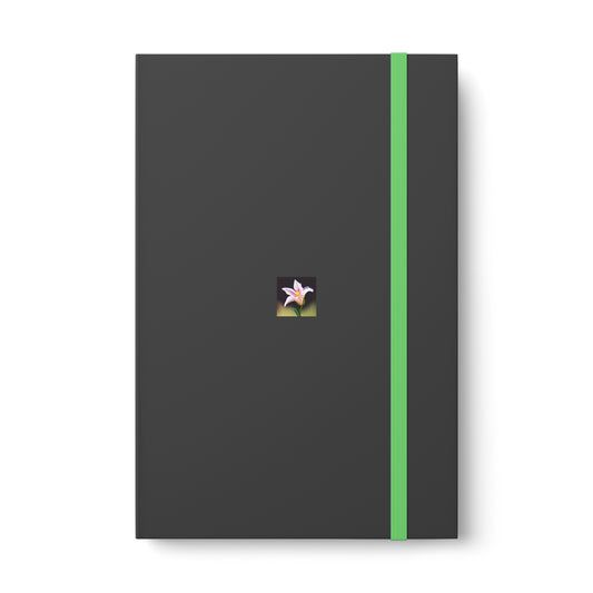 Lily Color Contrast Notebook - Ruled