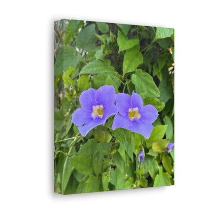 Matiby "Reals" Purple Flower Canvas Gallery Wraps