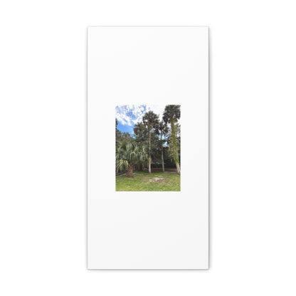 Matiby "Reals" Nature White Canvas Gallery Wraps