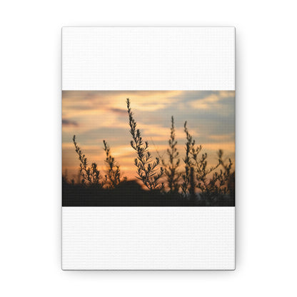 Nature Sunset Silhouette White Canvas Gallery Wraps