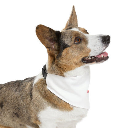 Matiby Pet Bandana Collar