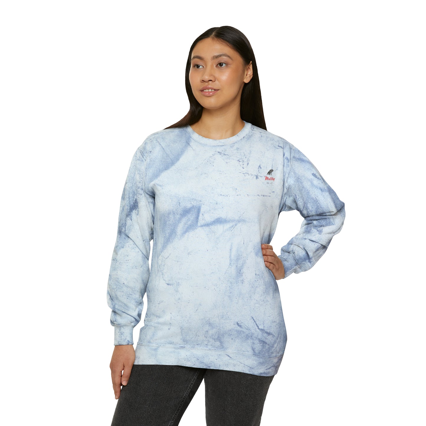 Matiby Unisex Color Blast Crewneck Sweatshirt