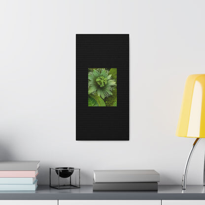 Artzy Green Flower Black Canvas Gallery Wraps