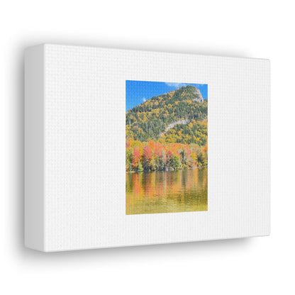 Nature Scenic White Canvas Gallery Wraps