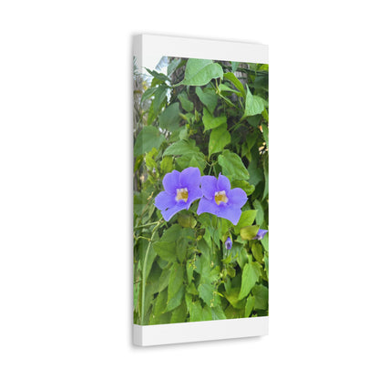 Matiby "Reals" Purple Flower Canvas Gallery Wraps