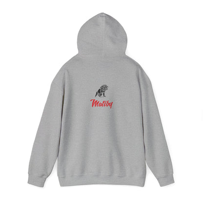 Beaks Unisex Heavy Blend™ Hooded Sweatshirt