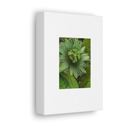 Artzy Green Flower White Canvas Gallery Wraps