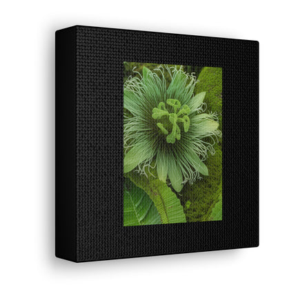 Artzy Green Flower Black Canvas Gallery Wraps