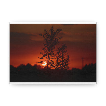 Nature Sunset Silhouette Black Canvas Gallery Wraps