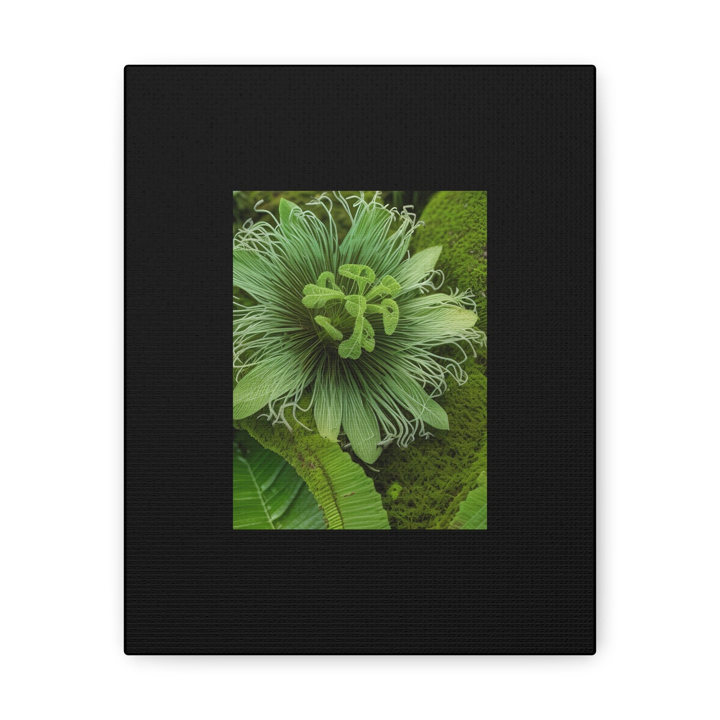 Artzy Green Flower Black Canvas Gallery Wraps