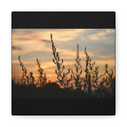 Nature Sunset Silhouette Black Canvas Gallery Wraps