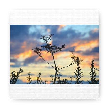 Nature Sunset Silhouette Canvas Gallery Wraps