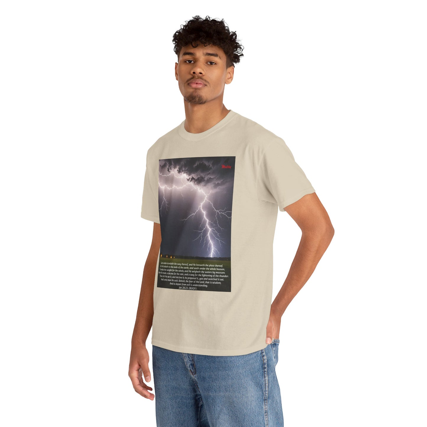 Lightning Style Fear of the Lord Unisex Heavy Cotton Tee