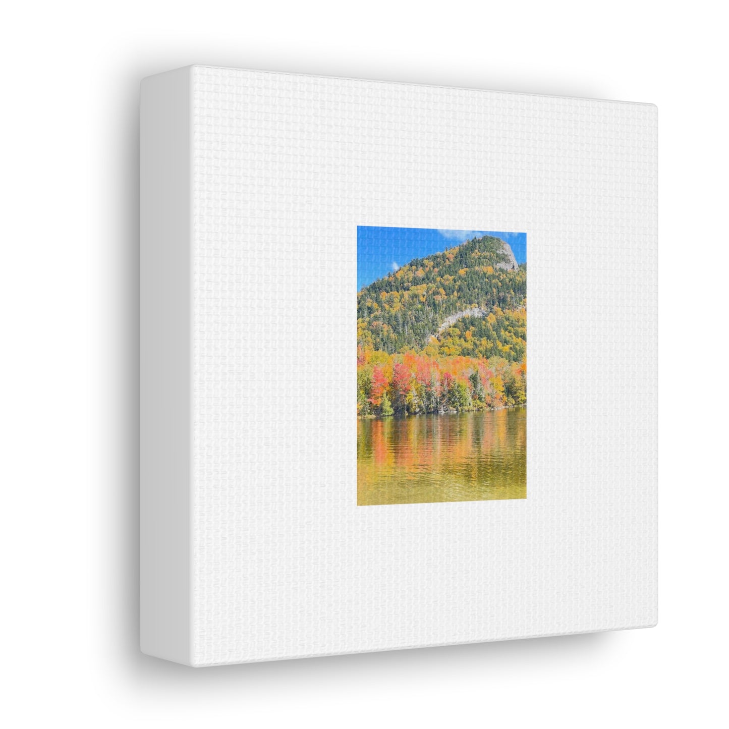 Nature Scenic White Canvas Gallery Wraps