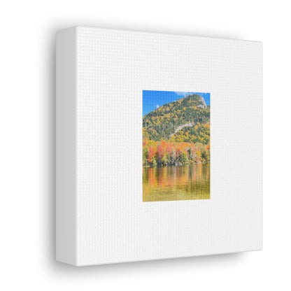 Nature Scenic White Canvas Gallery Wraps