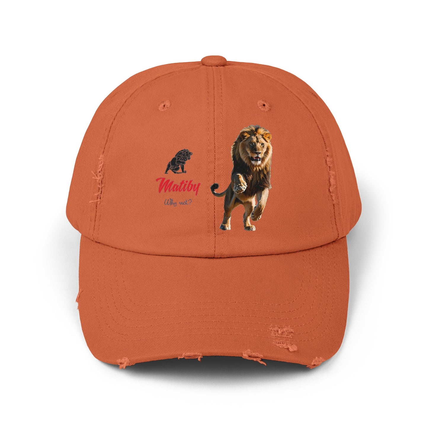 Matiby Lion Unisex Distressed Cap