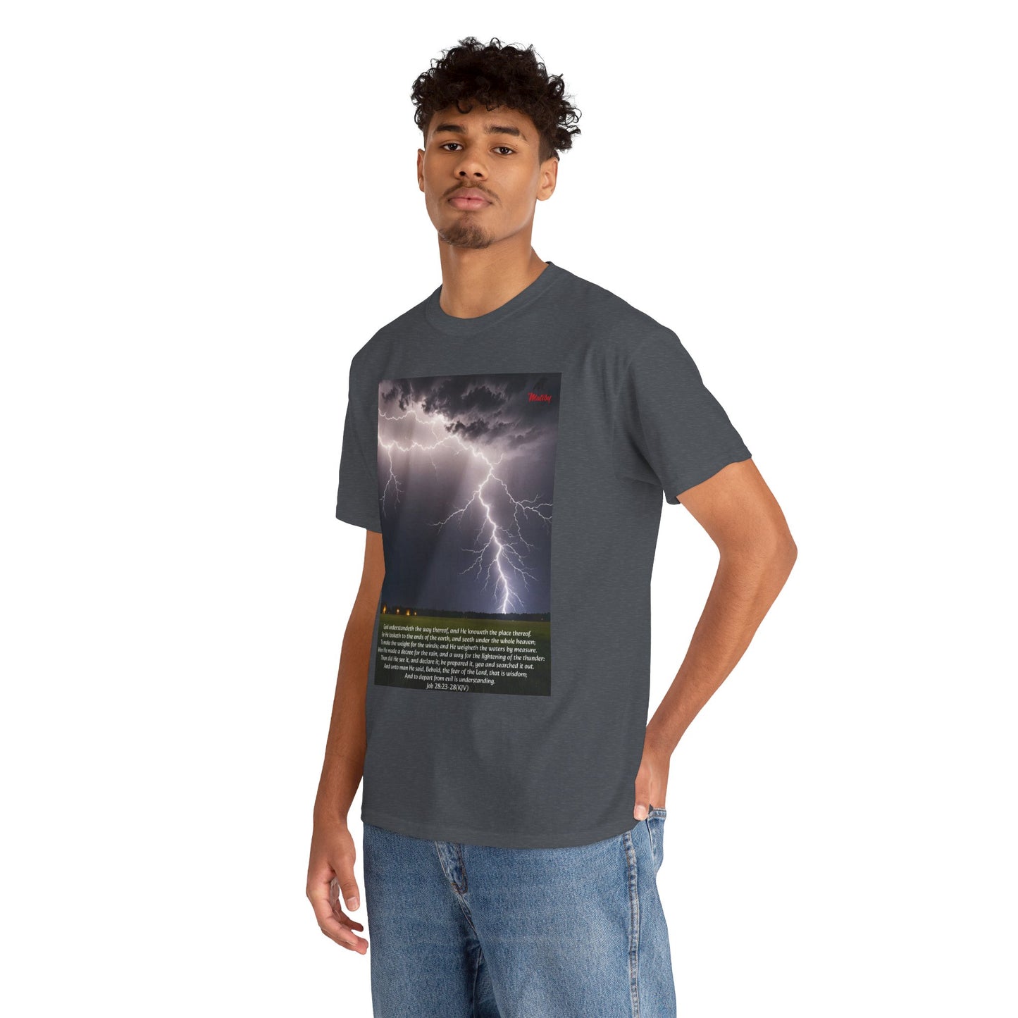 Lightning Style Fear of the Lord Unisex Heavy Cotton Tee