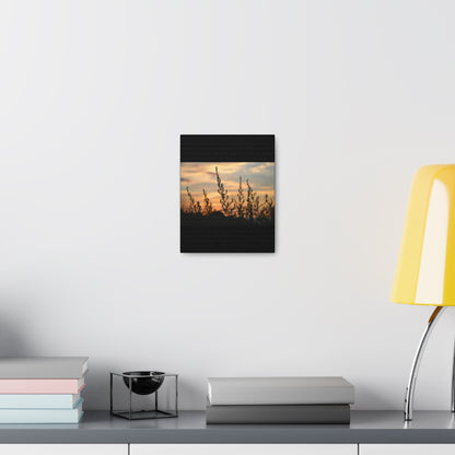 Nature Sunset Silhouette Black Canvas Gallery Wraps