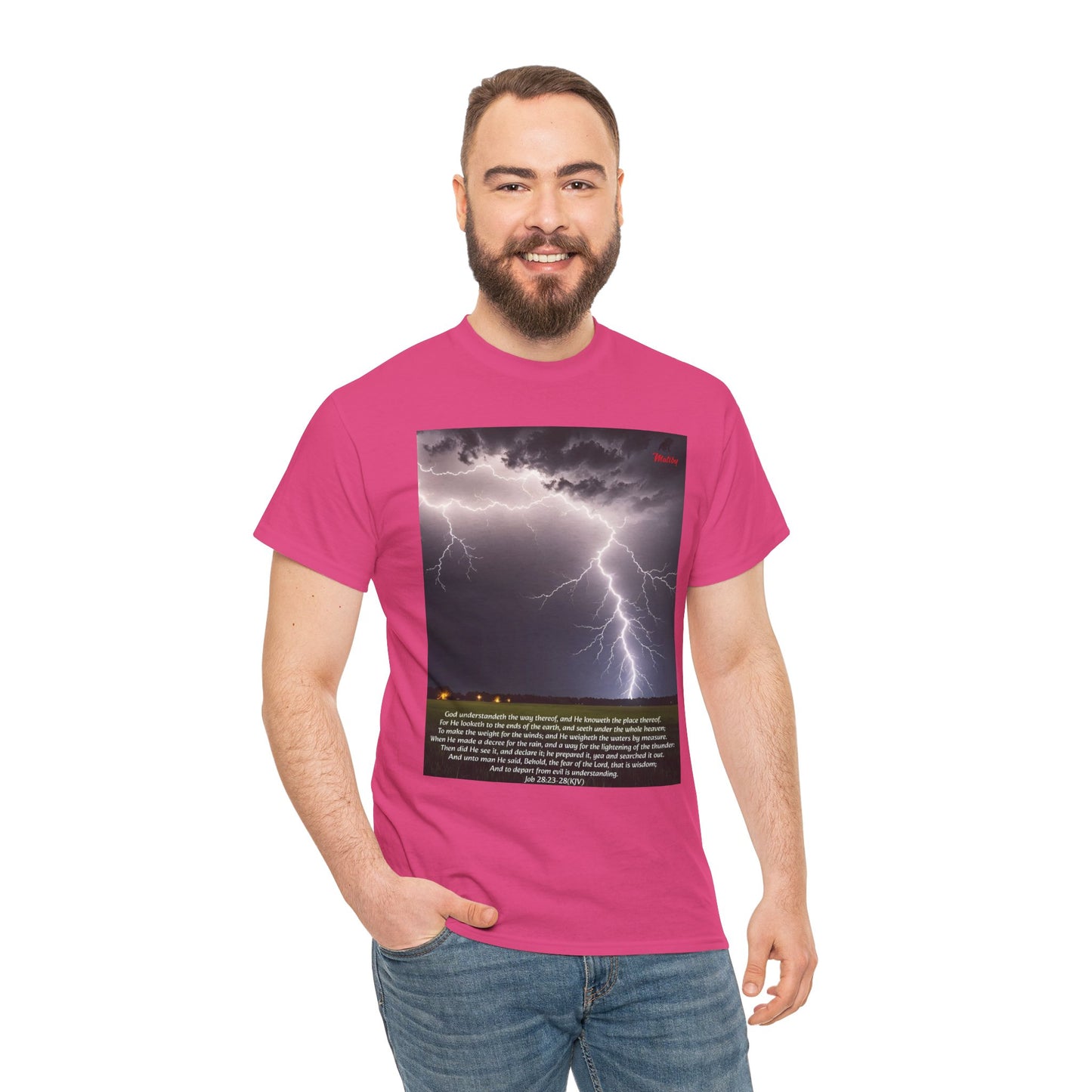 Lightning Style Fear of the Lord Unisex Heavy Cotton Tee