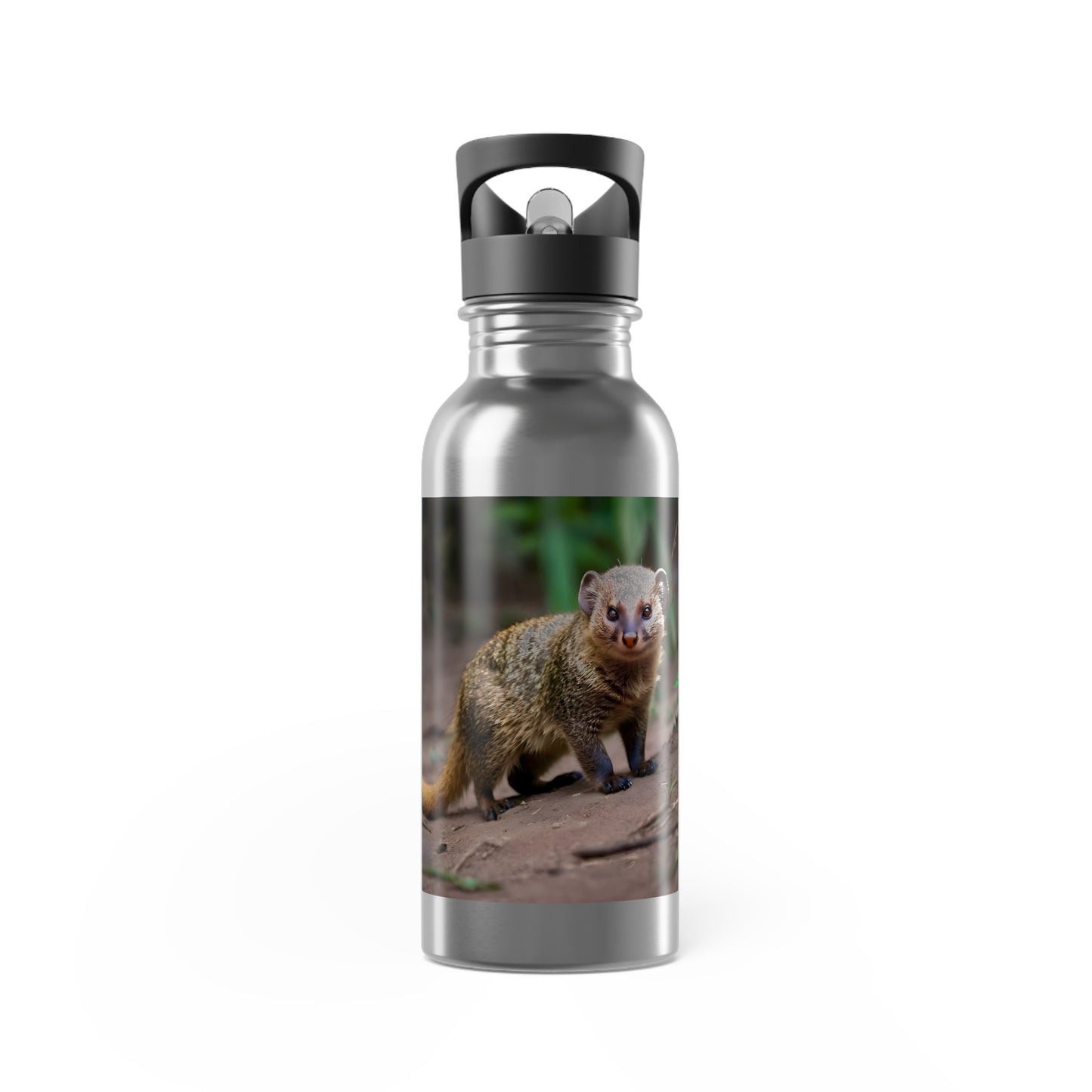 Artzy Mongoose Stainless Steel Water Bottle With Straw, 20oz