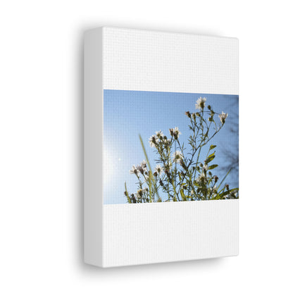 Flowery White Canvas Gallery Wraps