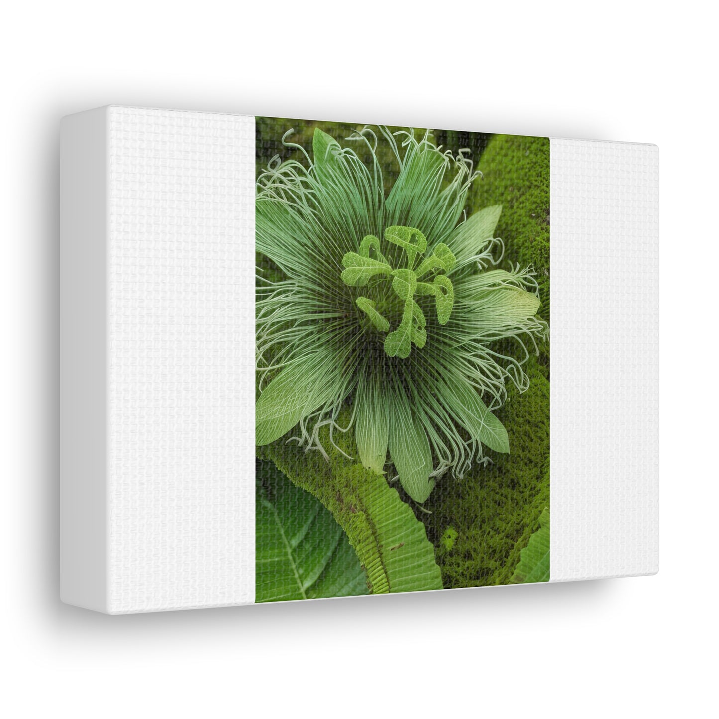 Artzy Green Flower White Canvas Gallery Wraps