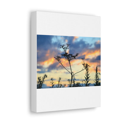 Nature Sunset Silhouette Canvas Gallery Wraps