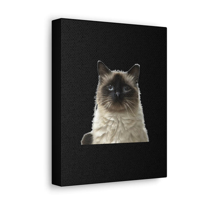 Cat Black Canvas Gallery Wraps