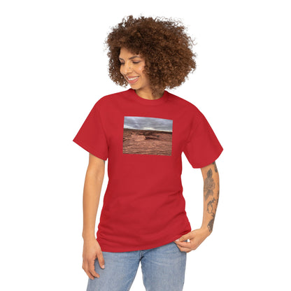 Arizona Unisex Heavy Cotton Tee