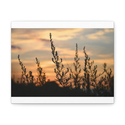 Nature Sunset Silhouette White Canvas Gallery Wraps