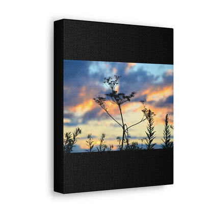 Nature Sunset Silhouette Black Canvas Gallery Wraps