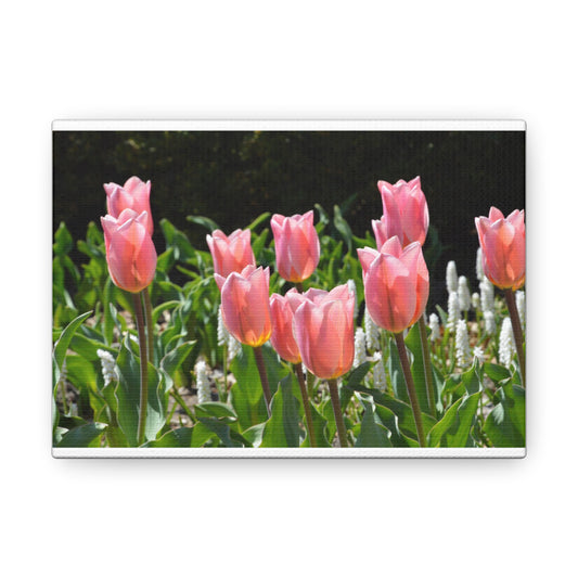 Pink Flowers White Canvas Gallery Wraps