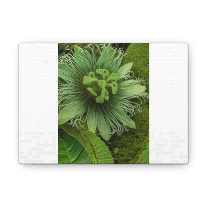 Artzy Green Flower White Canvas Gallery Wraps