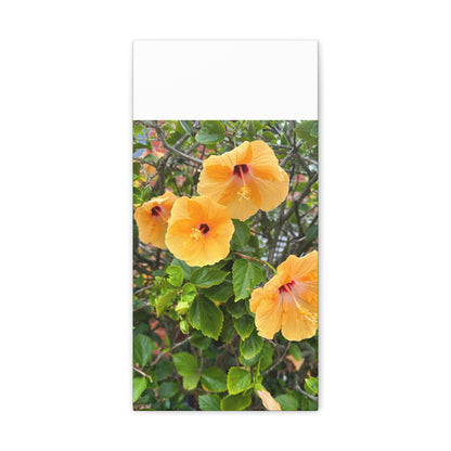 Matiby "Reals" Yellow Flower White Canvas Gallery Wraps