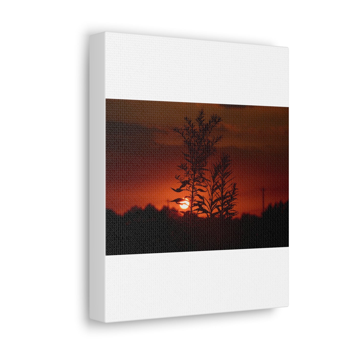 Nature Sunset Silhouette Black Canvas Gallery Wraps