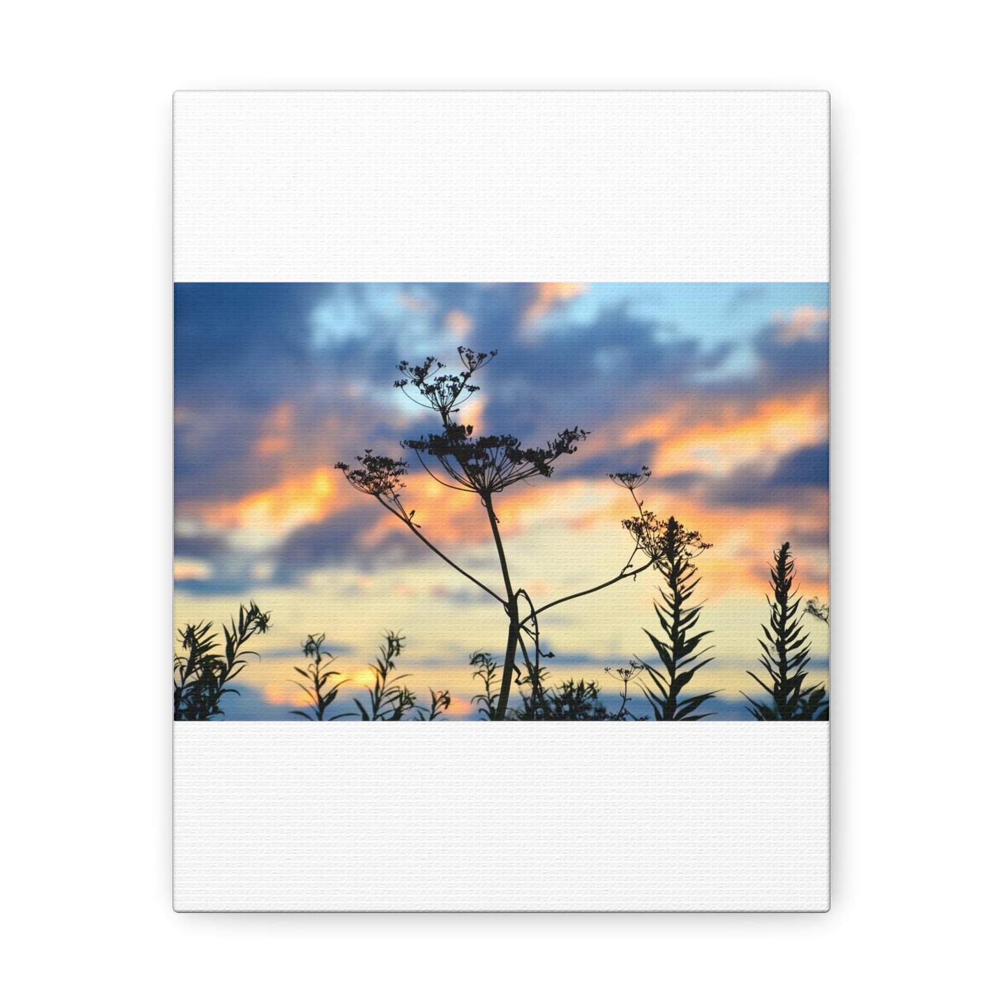 Nature Sunset Silhouette Canvas Gallery Wraps