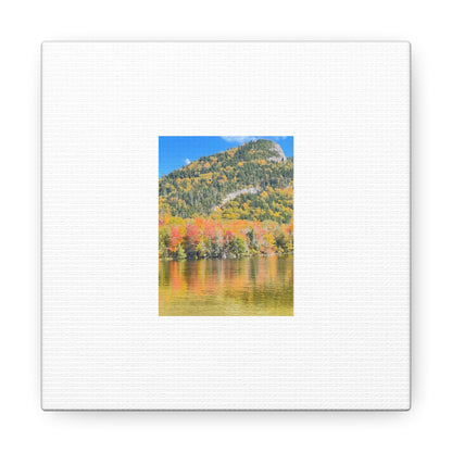 Nature Scenic White Canvas Gallery Wraps