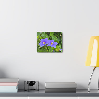 Matiby "Reals" Purple Flower Canvas Gallery Wraps