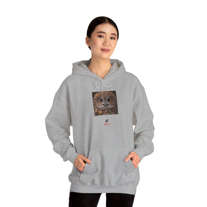 Owly Unisex Heavy Blend™ Hooded Sweatshirt