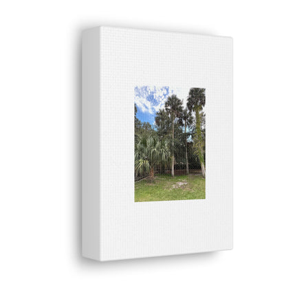 Matiby "Reals" Nature White Canvas Gallery Wraps