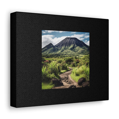 Scenic Black Canvas Gallery Wraps