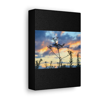 Nature Sunset Silhouette Black Canvas Gallery Wraps