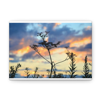 Nature Sunset Silhouette Canvas Gallery Wraps