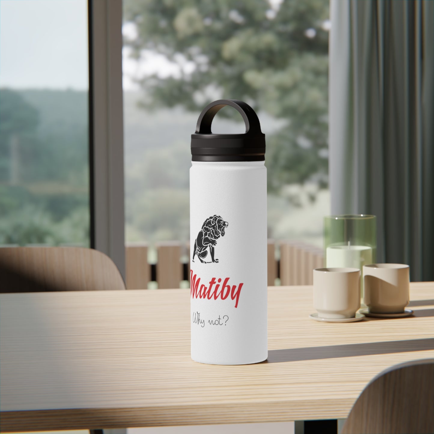 Matiby Stainless Steel Water Bottle, Handle Lid