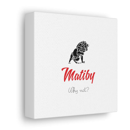 Matiby White Canvas Gallery Wraps