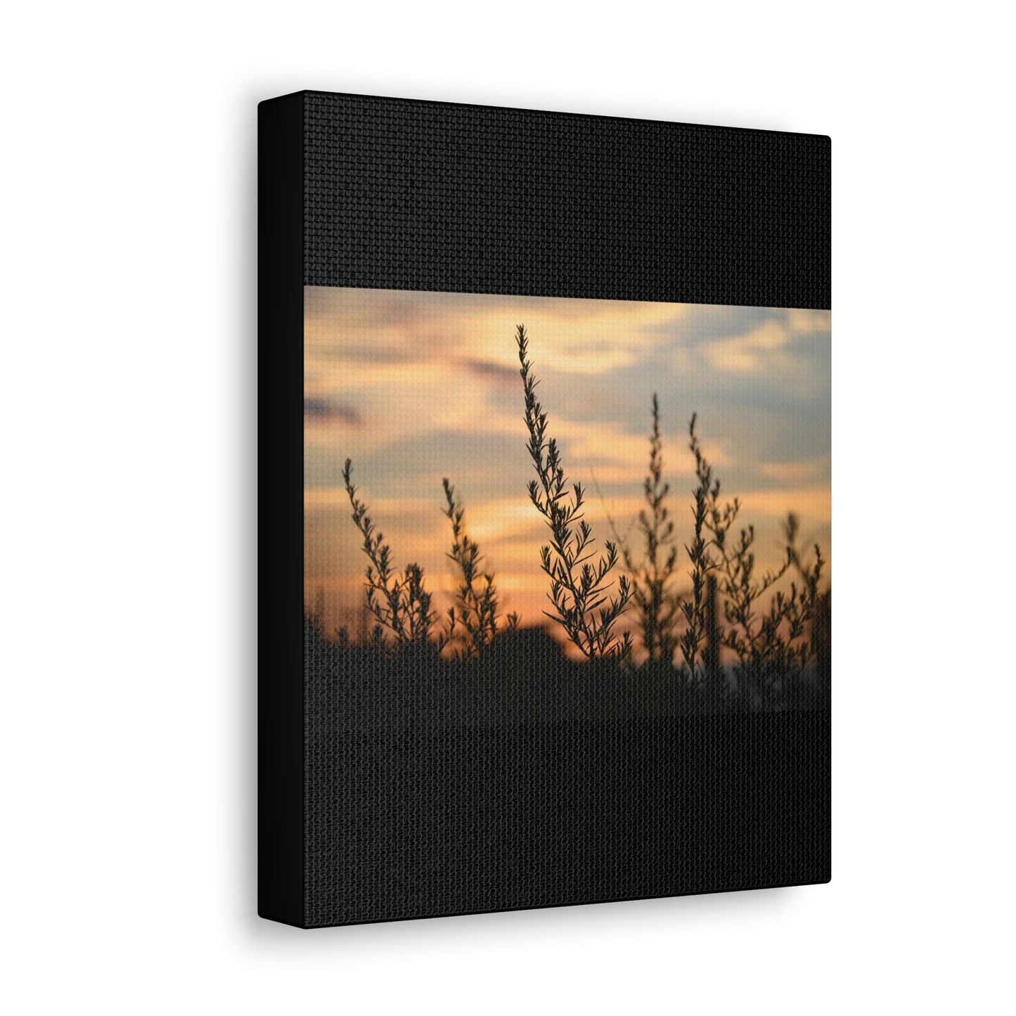 Nature Sunset Silhouette Black Canvas Gallery Wraps