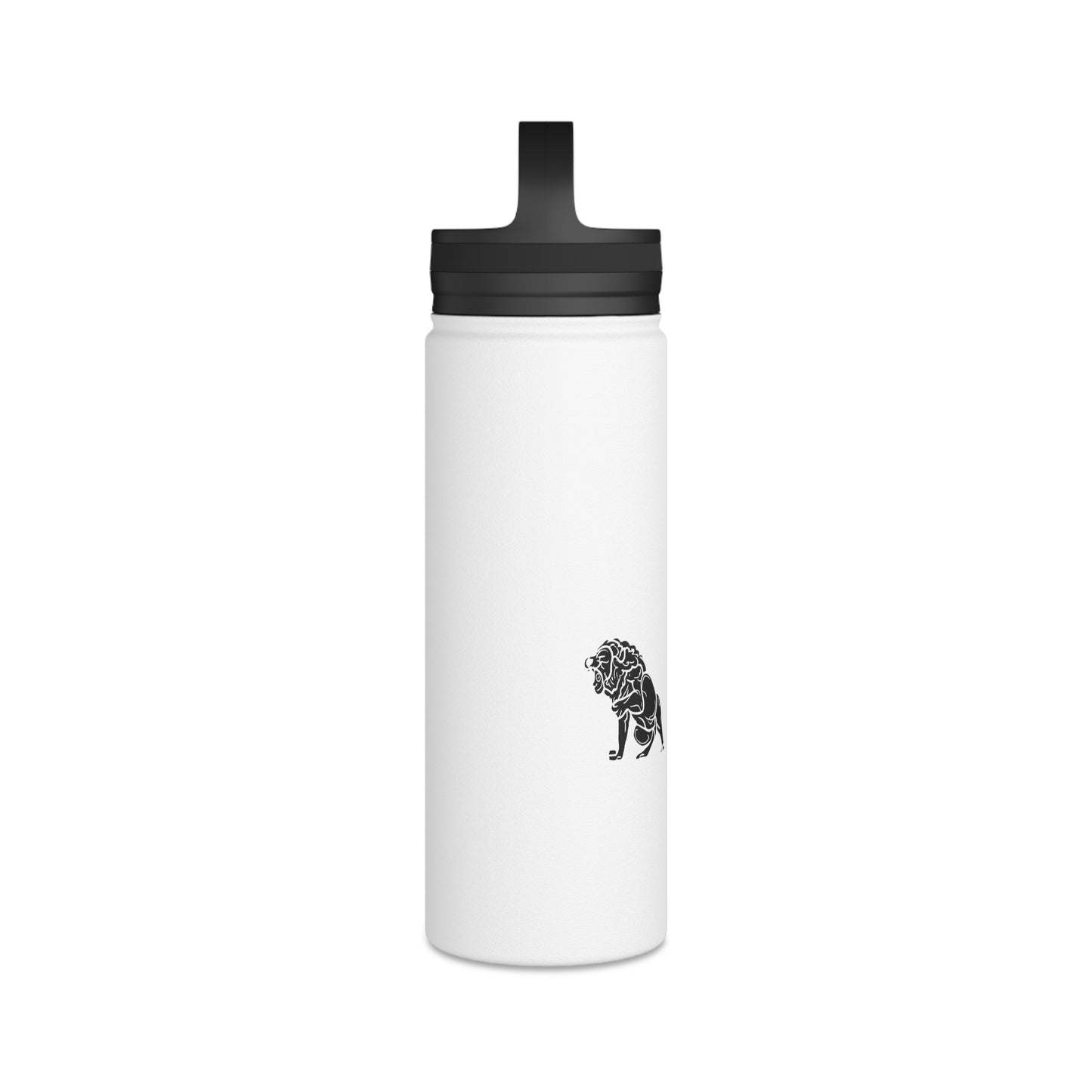 Matiby Stainless Steel Water Bottle, Handle Lid