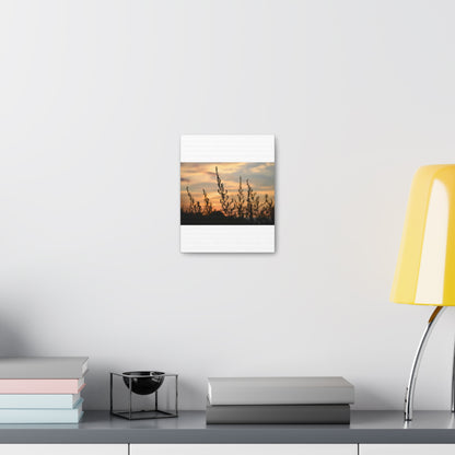 Nature Sunset Silhouette White Canvas Gallery Wraps